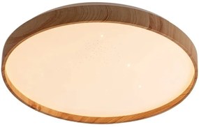 Rabalux 71144 - Plafoniera LED LEANA LED/24W/230V 3000K diametro 38 cm