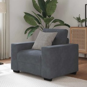 Divano Sedia Grigio Scuro 60 Cm Velluto /