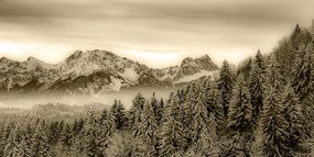 Quadro su tela – Montagne congelate in seppia