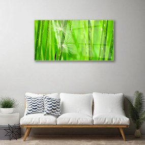 Quadro vetro acrilico Erba, piante, natura 100x50 cm