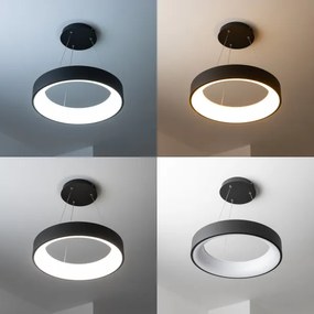 Brilagi - Lampadario LED Dimmerabile su corda FALCON LED/80W/230V 3000-6500K + tc