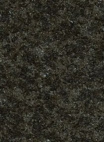 Moooi for Arte Carta da parati Bearded Leopard - MO2052 Blackened Blue