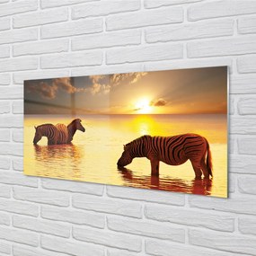 Quadro vetro acrilico Tramonto di acqua zebra 100x50 cm