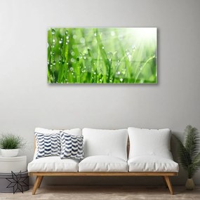 Quadro vetro acrilico Natura, erba, gocce 100x50 cm