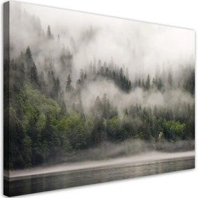 Quadro su tela, Foresta nella nebbia  Dimensioni 100x70