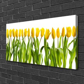 Quadro su tela Tulipani, fiori, natura 100x50 cm