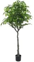 Pianta Artificiale H160 cm Ficus con Vaso Verde