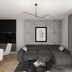 Plafoniera Moderna Ares Acciaio Nero 2 Luci E14 Ip20