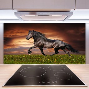Pannello paraschizzi cucina Animali del prato del cavallo nero 125x50 cm