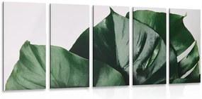 Quadri 5 pezzi – Foglia di monstera