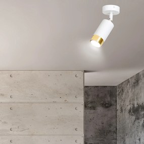 Faretto Orientabile 1 Luce Ragnar A Cilindro In Acciaio Bianco E Oro