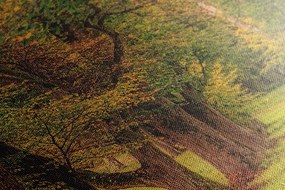 Quadro su tela – Sentiero nella foresta autunnale