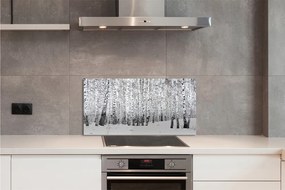 Pannello paraschizzi cucina Inverno neve-betulle 100x50 cm