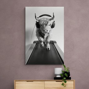 Stampa su tela – Mucca con cuffie sul tapis roulant