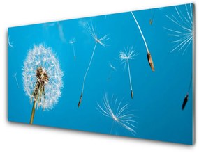 Quadro vetro acrilico Fiori di tarassaco Natura 100x50 cm