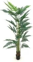 Pianta ornamentale Palma Areca 180 cm. con vaso