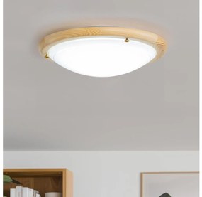 Rabalux 5411 - Plafoniera UFO 1xE27/60W/230V
