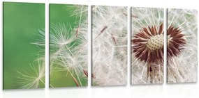 Quadri 5 pezzi – Semi di dente di leone