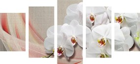 Quadri 5 pezzi – Orchidea bianca su tela