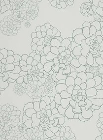 Paint & Paper Library Carta da parati Aeonium - Blue Gum