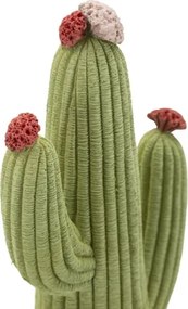 Cactus Cm 13X7X25