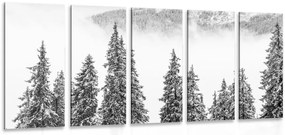 Quadri 5 pezzi – Alberi di pino innevati in bianco e nero