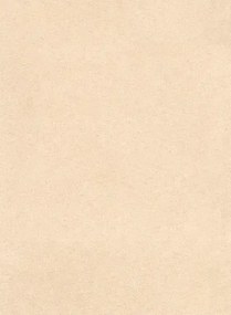 Arte International Carta da parati Noble - 28511