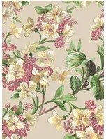 Coordonne Carta da parati Flowery - Beige