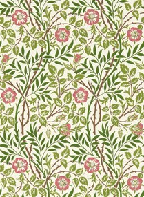 Morris & Co Carta da parati Sweet Briar - Boughs/ Rose
