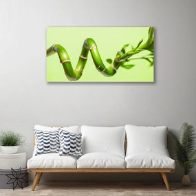 Stampa quadro su tela Bambù Pianta Natura 100x50 cm
