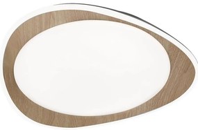 Rabalux 2427 - Plafoniera da soffitto TAMINO LED/24W/230V