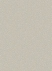 Cole & Son Carta da parati Vermicelli - Stone
