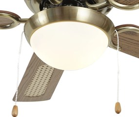 Ventilatore da soffitto ottone con stampa legno e rattan 105 cm con interruttore a tirante - Mistral Majas