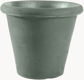 Portavaso Camelia