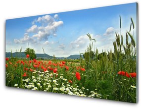 Pannello cucina paraschizzi Prato, fiori, natura 100x50 cm
