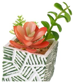 Piante artificiali in set da 3 (altezza 12 cm) Cactus - Casa Selección