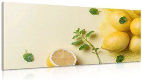 Stampa su tela – Limoni con menta