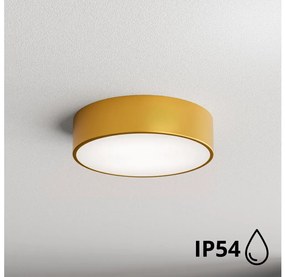 Brilagi - Plafoniera da bagno CLARE 2xE27/24W/230V diametro 30 cm IP54 oro