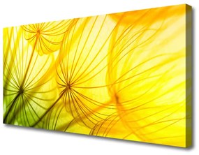 Quadro su tela Fiori di tarassaco Natura 100x50 cm