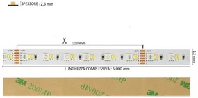 Striscia LED Professional - RGB + CCT (bianco Variabile)  - IP20 - 20W/m - 5m - 24V Colore RGB+CCT