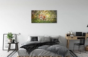 Quadro su tela Fiori della foresta per cani 100x50 cm