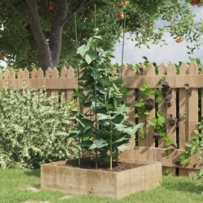 Supporti Piante Da Giardino Con 4 Anelli 5pz Verde 90cm Acciaio /