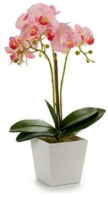 Pianta Decorativa Orchidea 20 x 47 x 33 cm Plastica (4 Unità)