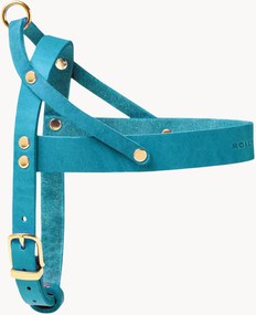 Imbracatura per cani in pelle Classic, varie misure