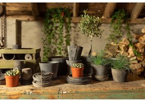 Set di 3 vasi in terracotta ø 10 cm - Esschert Design