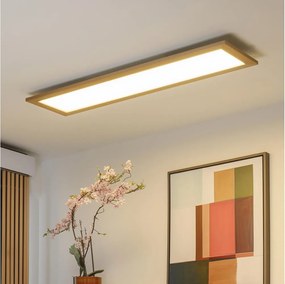 Brilagi - Lampada LED dimmerabile SLIMFRAME WOOD LED/58W/230V 124x34 cm + telecomando