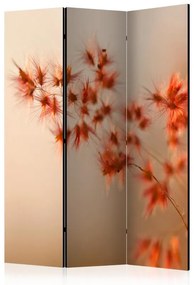 Paravento  Closer to nature [Room Dividers]  Colore ---, Dimensioni e Misure 135x172