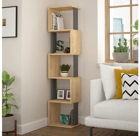 Libreria PIRI 161x35 cm marrone/antracite