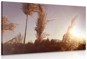 Stampa su tela – Atmosfera autunnale
