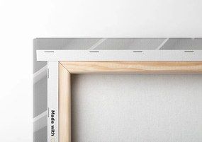 Quadro su tela – Giglio bianco su sfondo interessante